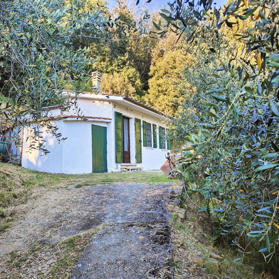 Massaciuccoli Romana Exteriér fotografie