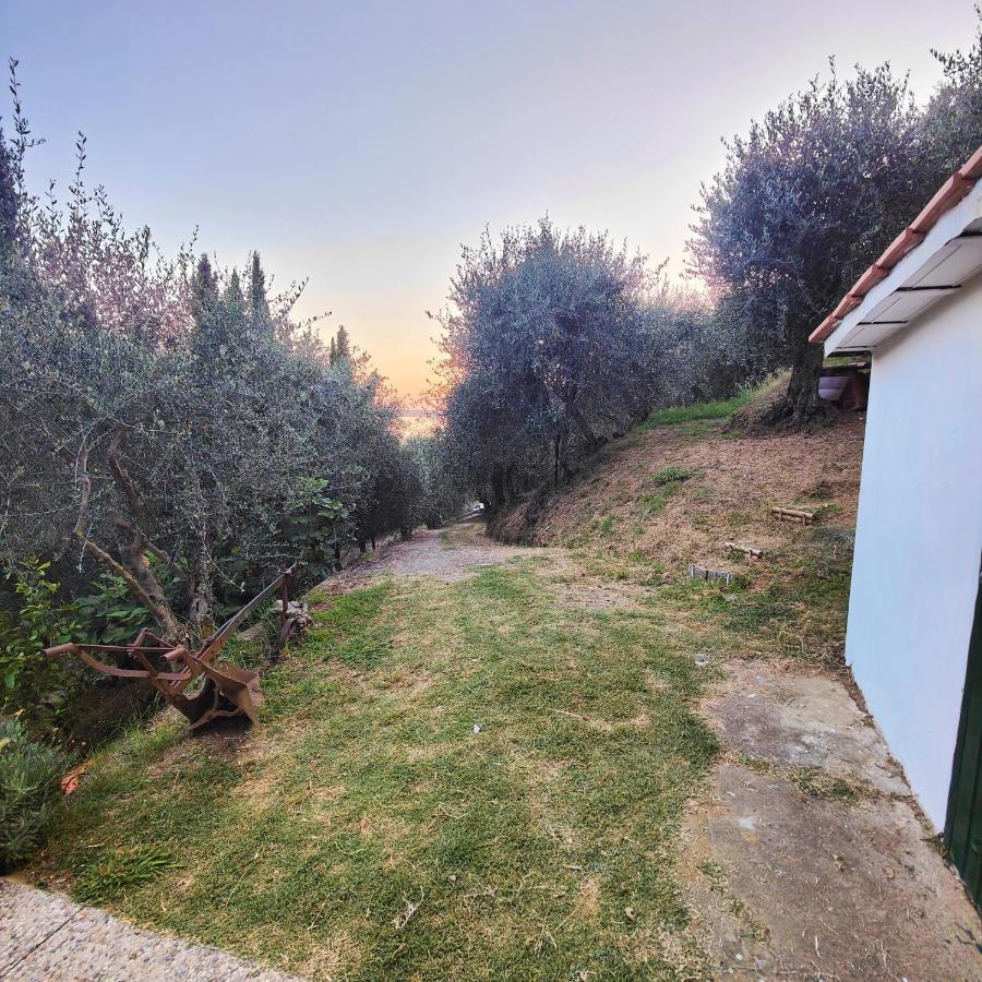Massaciuccoli Romana Exteriér fotografie