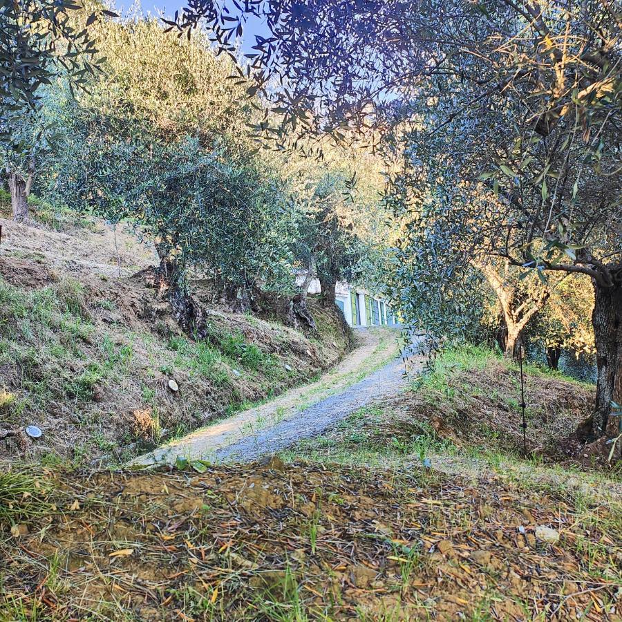 Massaciuccoli Romana Exteriér fotografie
