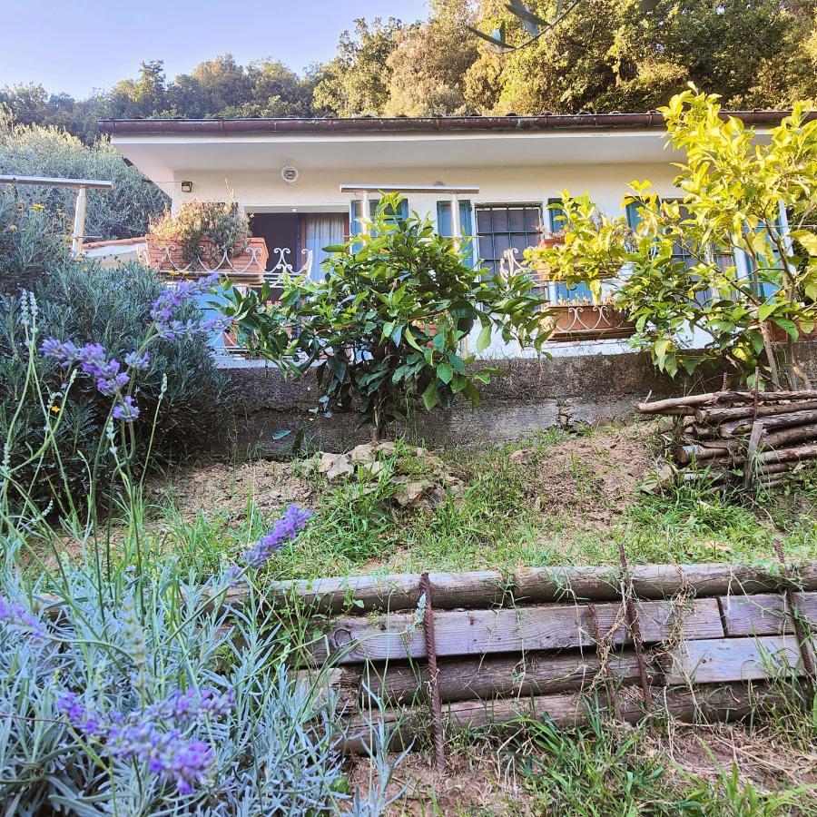 Massaciuccoli Romana Exteriér fotografie