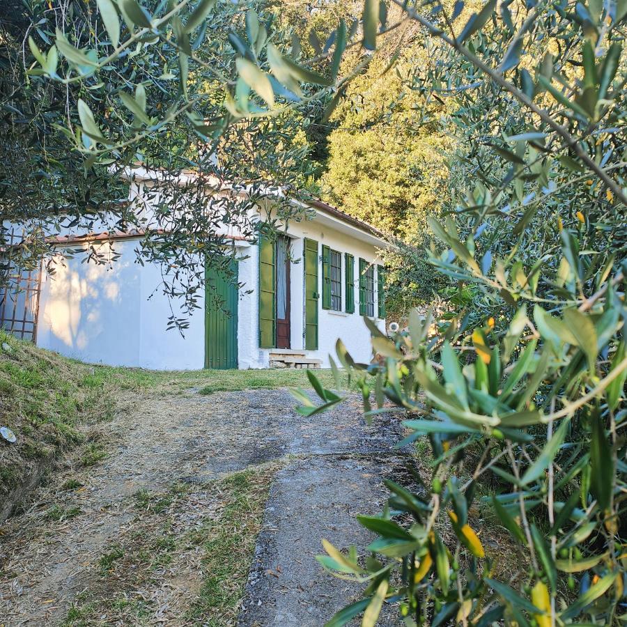 Massaciuccoli Romana Exteriér fotografie