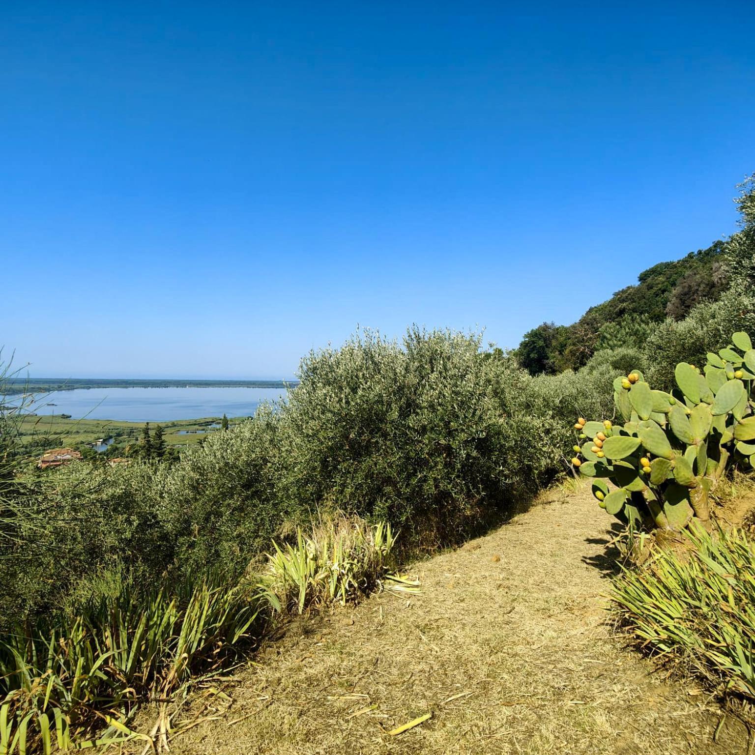 Massaciuccoli Romana Exteriér fotografie